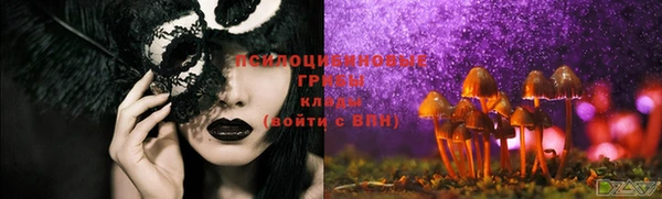 каннабис Дмитровск
