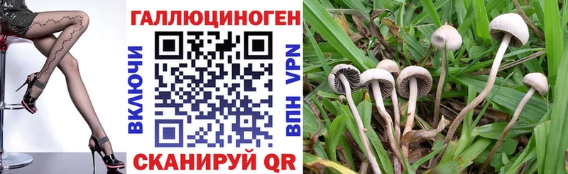 цены наркотик  Железноводск  Галлюциногенные грибы мицелий 