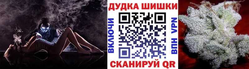 Канабис планчик  kraken как войти  Железноводск 